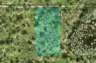 Inaccessible Tract, Kathleen, FL 33849 - Photo 1