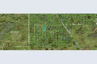 Inaccessible Tract, Kathleen, FL 33849 - Photo 3