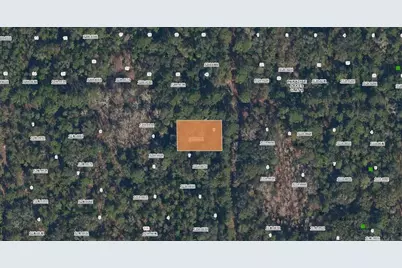 Spruce Drive, Georgetown, FL 32139 - Photo 1