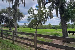 5757 Trask Rd, Fort Meade, FL 33841 - Photo 69