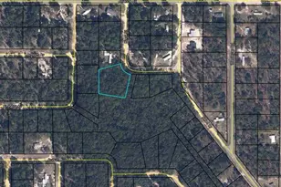 7152 Knox St, Keystone Heights, FL 32656 - Photo 1