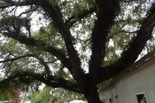 19 Anchor Inn Rd, Lake Wales, FL 33898 - Photo 21
