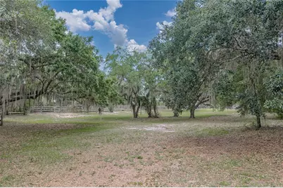 914 Mangham Road, Babson Park, FL 33827 - Photo 85
