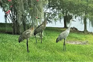 1819 Sand Hill Ln, Winter Haven, FL 33884 - Photo 79