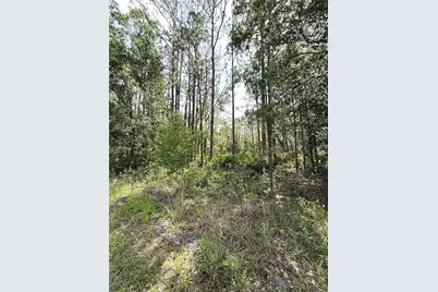 0 Lake Caloosa Landing, Frostproof, FL 33843 - Photo 7