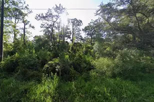 Atlee St, New Port Richey, FL 34654 - Photo 1