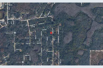 Atlee Street, New Port Richey, FL 34654 - Photo 3