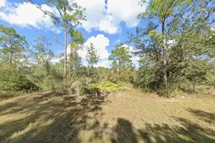 Plumosa Dr, Indian Lake Estates, FL 33855 - Photo 1