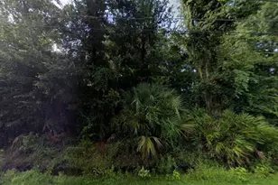 242 Toms Rd, Debary, FL 32713 - Photo 1