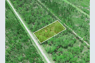 0 Valencia Drive, Indian Lake Estates, FL 33855 - Photo 5