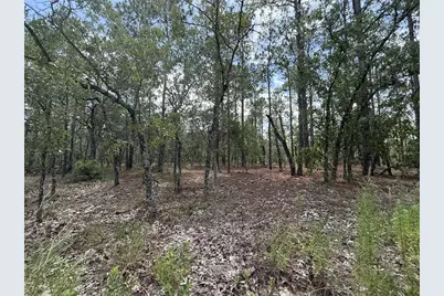 Tbd Tree Top Road, Dunnellon, FL 34431 - Photo 5