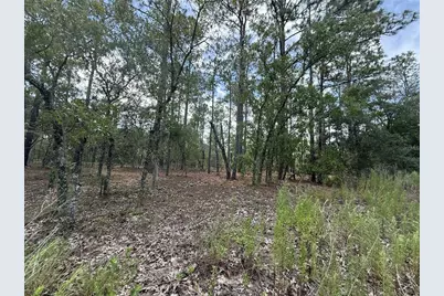 Tbd Tree Top Road, Dunnellon, FL 34431 - Photo 7