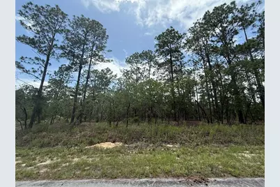 Tbd Tree Top Road, Dunnellon, FL 34431 - Photo 1