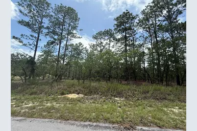 Tbd Tree Top Road, Dunnellon, FL 34431 - Photo 3