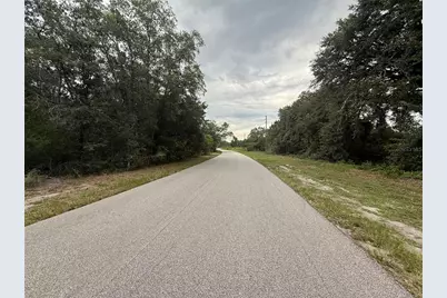 1012 Wildflower Street, Lake Placid, FL 33852 - Photo 9