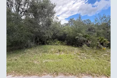 1012 Wildflower Street, Lake Placid, FL 33852 - Photo 5