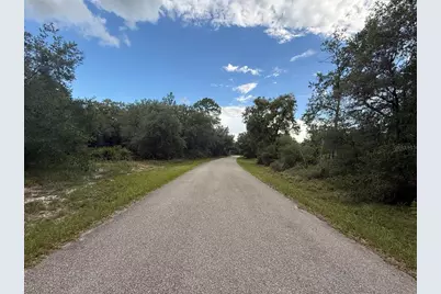 1012 Wildflower Street, Lake Placid, FL 33852 - Photo 7