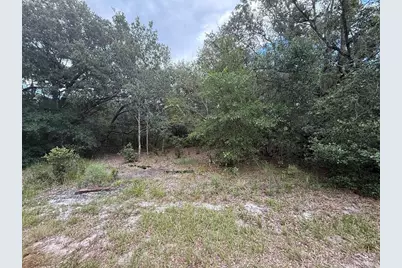 1012 Wildflower Street, Lake Placid, FL 33852 - Photo 3