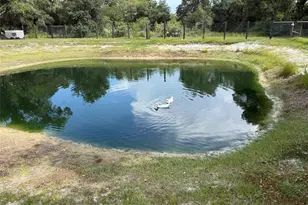 19084 NW 306th St, Okeechobee, FL 34972 - Photo 29