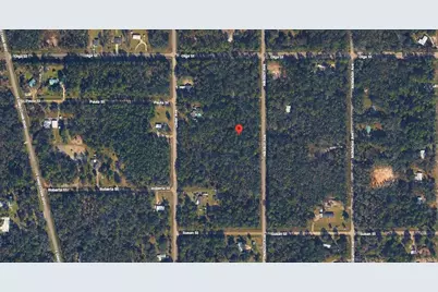10135 Nikolich Avenue, Hastings, FL 32145 - Photo 3