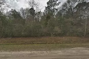 10135 Nikolich Ave, Hastings, FL 32145 - Photo 1