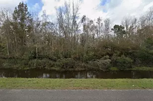 4816 Cedar Ford Blvd, Hastings, FL 32145 - Photo 1