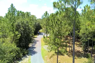 2497 US Hwy 98 W, Frostproof, FL 33843 - Photo 49
