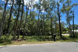 Tbd Franklin Dr, Crawfordville, FL 32327 - Photo 1