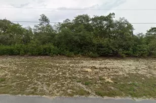43rd Ct, Ocala, FL 34473 - Photo 1