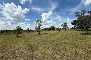 17019 NW 296th St, Okeechobee, FL 34972 - Photo 1