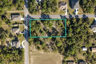 12194 Labrador Duck Rd, Weeki Wachee, FL 34614 - Photo 1