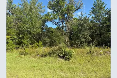 79th Terrace Road, Dunnellon, FL 34432 - Photo 3