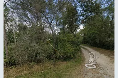 Orange Circle, Paisley, FL 32767 - Photo 3