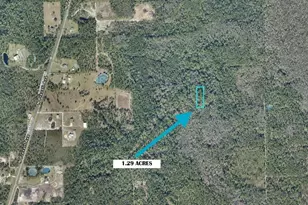 Lot 23, Lake Helen, FL 32744 - Photo 1