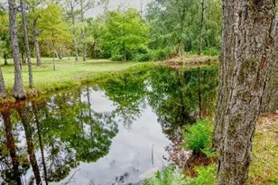 1001 McClellan Rd, Frostproof, FL 33843 - Photo 49