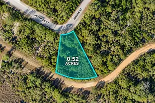 635 Jeffries St, Lehigh Acres, FL 33972 - Photo 1