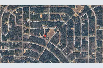 6371 N Coral Lily Drive, Citrus Springs, FL 34434 - Photo 5