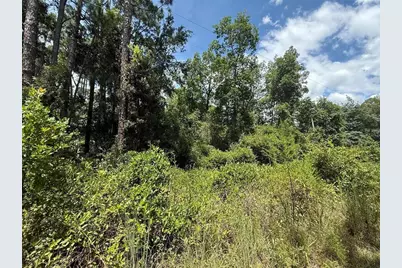 313 Calhoun Avenue, Florahome, FL 32140 - Photo 7