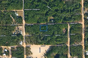 313 Calhoun Ave, Florahome, FL 32140 - Photo 1