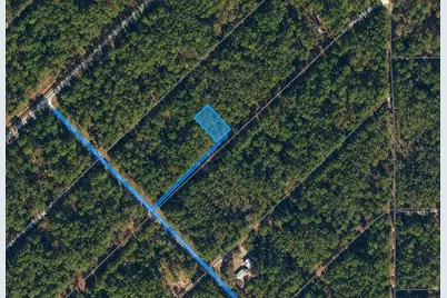 210 SE 2nd Street, Georgetown, FL 32139 - Photo 1