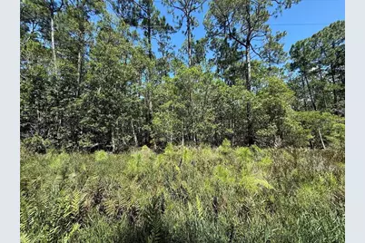 210 SE 2nd Street, Georgetown, FL 32139 - Photo 5