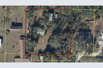 101 NE Schoolhouse Lane, Mayo, FL 32066 - Photo 3