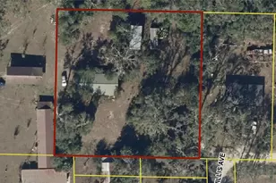 101 NE Schoolhouse Ln, Mayo, FL 32066 - Photo 3