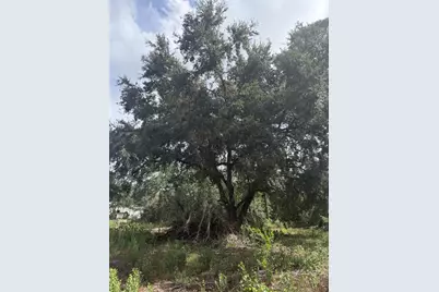 801 Gardenia Street, Lake Placid, FL 33852 - Photo 3