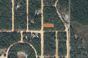 Creager Ave, Interlachen, FL 32148 - Photo 1
