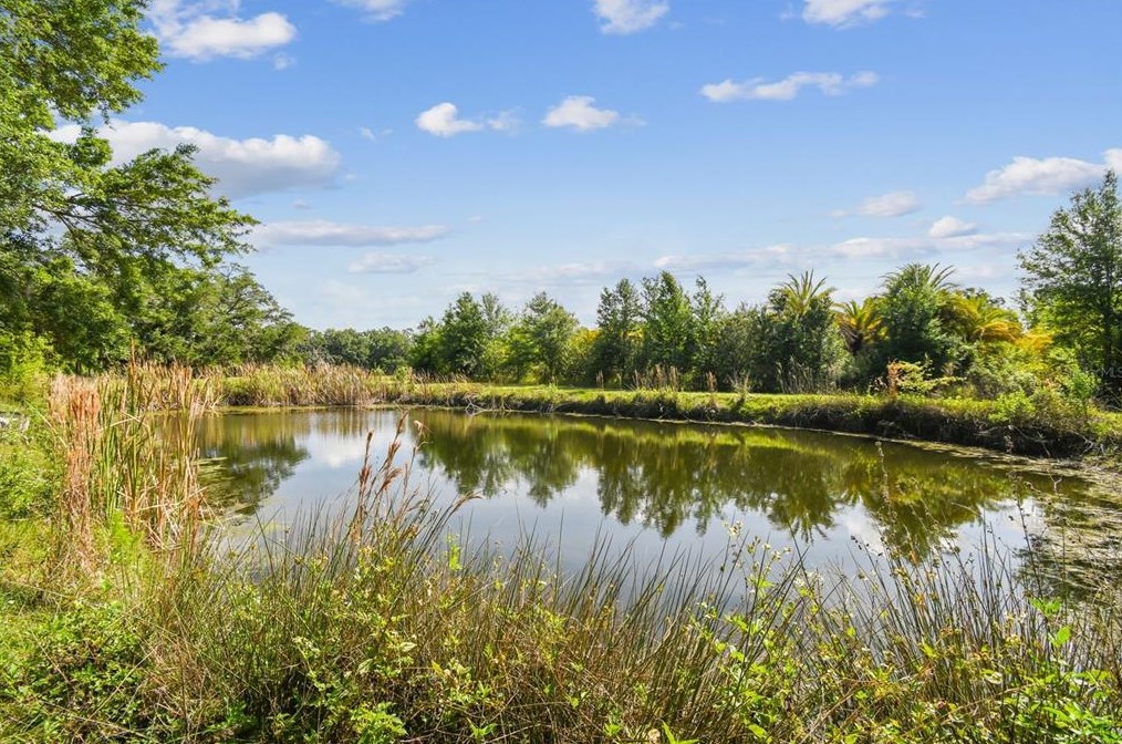 601 Honeyfarm Ln, Auburndale FL  33823-8306 exterior