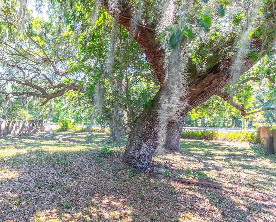 2354 Timbercreek Loop, Lakeland FL  33805-8576 exterior