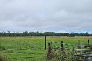 1013 Cattle Rnch Rd, Venus, FL 33960 - Photo 5