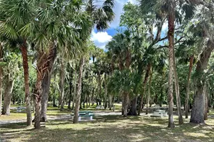 3456 Elm St, Zolfo Springs, FL 33890 - Photo 37