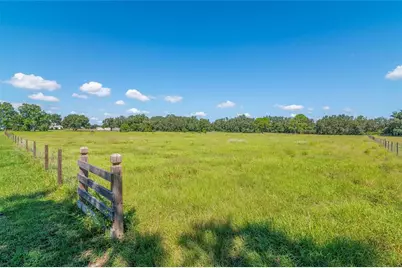 3933 Mammoth Grove Road, Lake Wales, FL 33898 - Photo 5